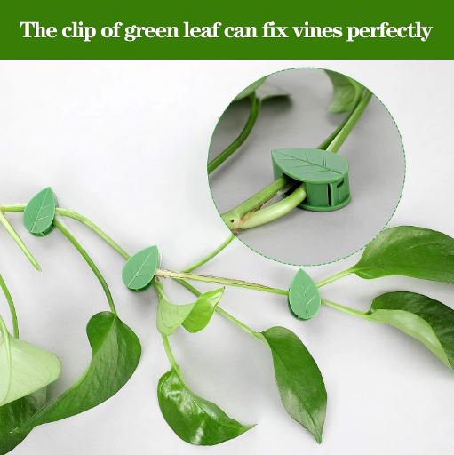 (Pack of 10) Leaf Shaped Self Adhesive Wall Climbing Clip